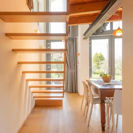 Baila - Cco511 By Interhome * 콜리코